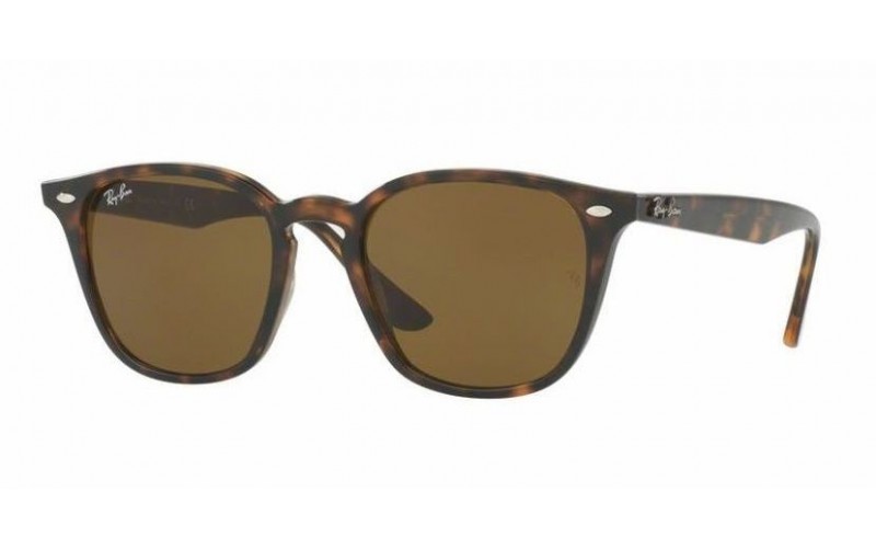 Ray-Ban 4258 710/73 (Size M)