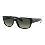 Ray-Ban 4388 601/7155 (Size M)