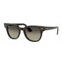 Ray-Ban 2168 902/32 Meteor (Size M)