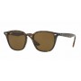 Ray-Ban 4258 710/73 (Size M)