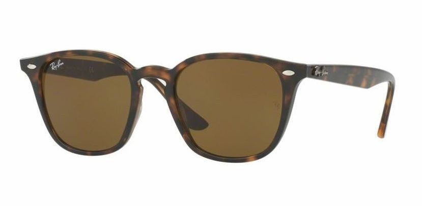 Ray-Ban 4258 710/73 (Size M)