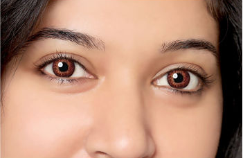 brown brown