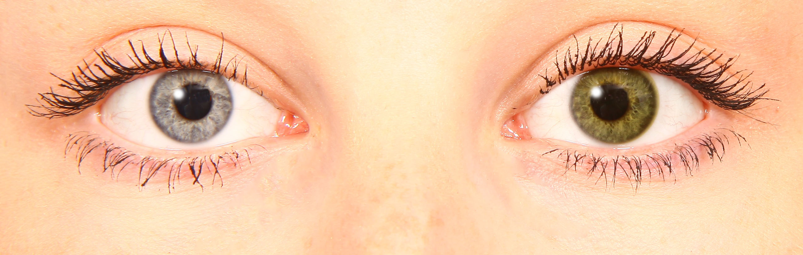 starlens olive