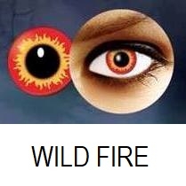 wild fire